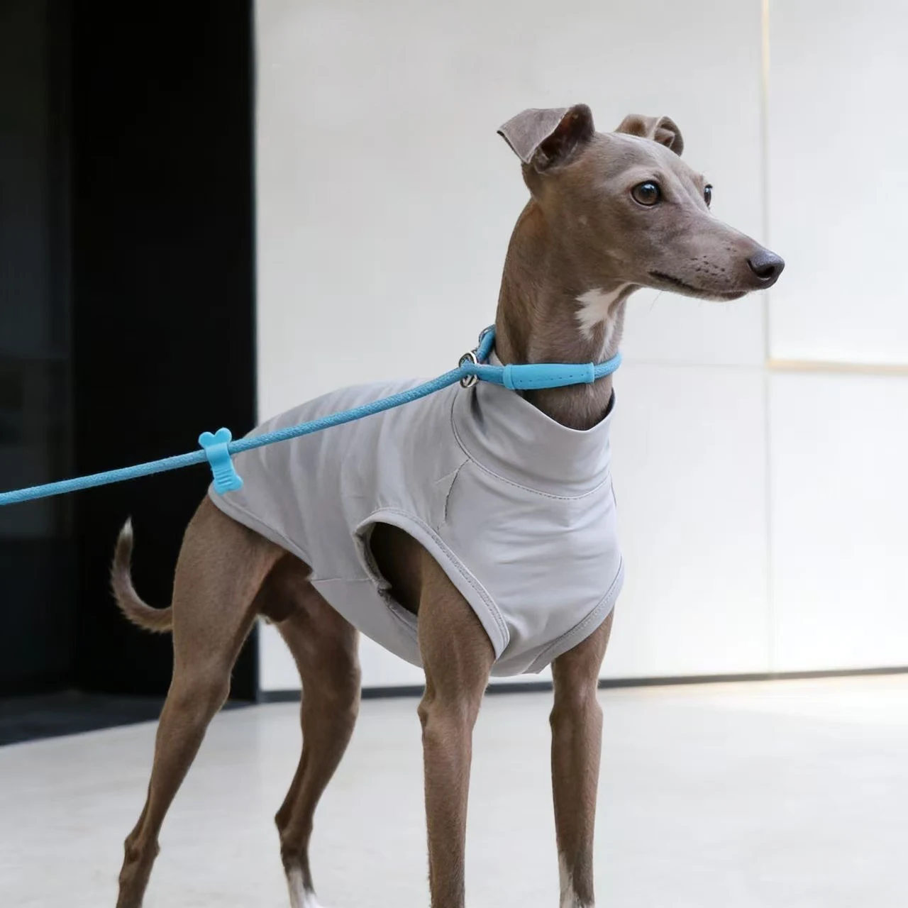 Chaleco frío para perros - tela de secado rápido y protección solar - imagen 5