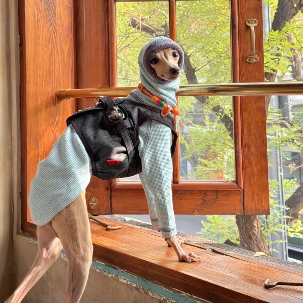 Sudadera de algodón azul hecha a mano para perros Whippet en otoño Abrigo cálido para la cabeza con cuello alto de 2 patas para galgo italiano en primavera