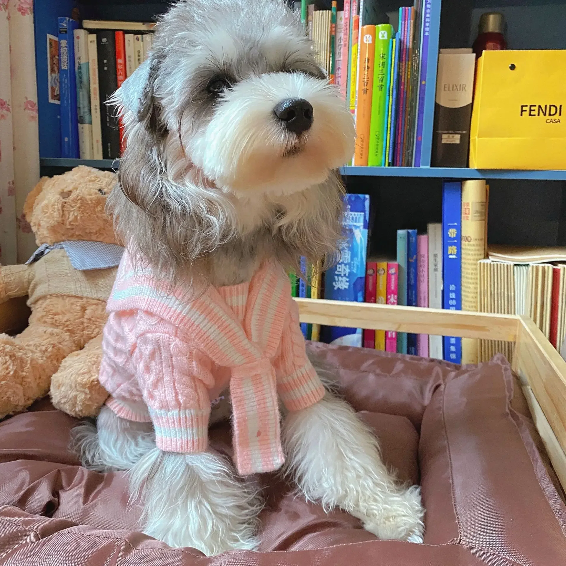 Suéter de estilo universitario para mascotas, abrigo de oso rubí nevado, ropa para cachorros, ropa para perros pequeños, Otoño e Invierno - imagen 4