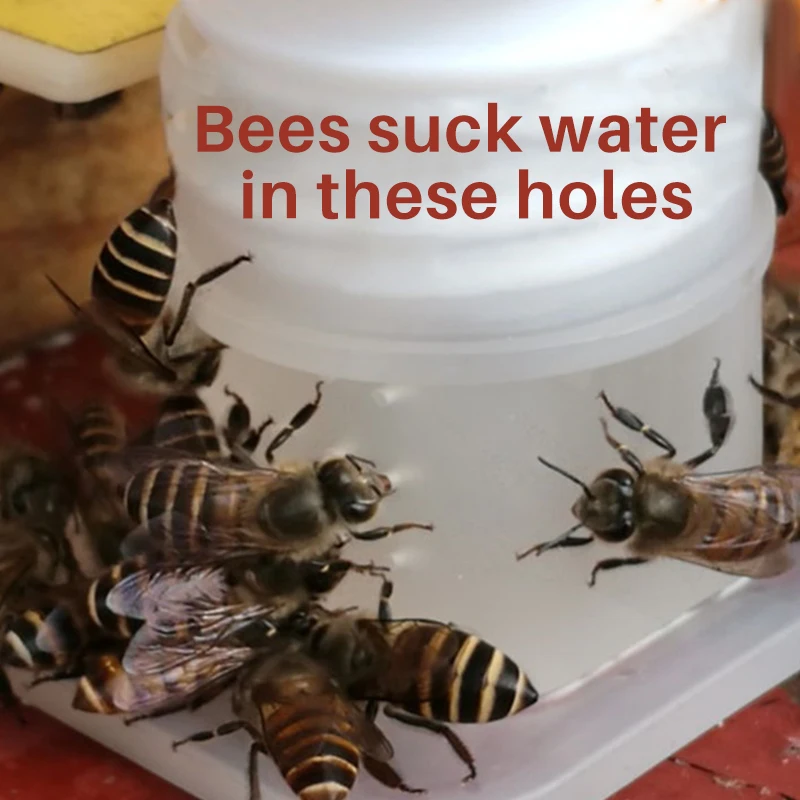 5/10/15/20 piezas alimentador de abejas, alimentadores de abejas de miel, bebedero de agua potable, herramienta de riego de abejas, bebedero de abejas blanco, suministros, herramientas de apicultura - imagen 5
