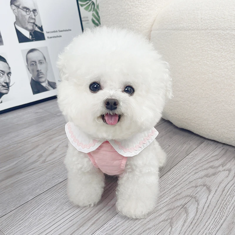 Conjunto de correa de arnés para perro y gato, Collar de encaje bonito, chaleco para mascotas, cachorro, caminar, correr, correa de plomo, ropa para Chihuahua, York, Pug - imagen 3