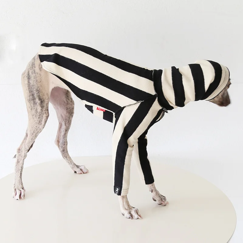 Ropa de otoño de estilo japonés para galgo italiano, suéter de lana suave de manga larga y cálida para ropa Whippet, ropa de descanso a rayas - imagen 4