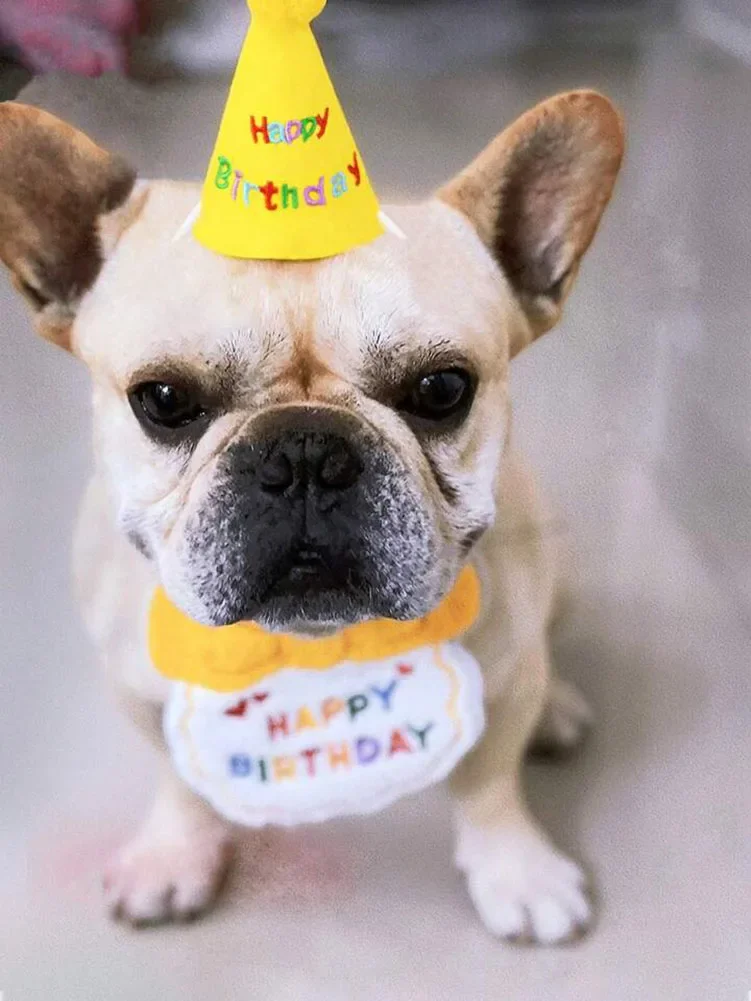 Babero de cumpleaños para perros y gatos, sombrero de fiesta, Mini pañuelo ajustable para perros y gatos, bufanda, traje de cumpleaños para mascotas, suministros para cachorros - imagen 4