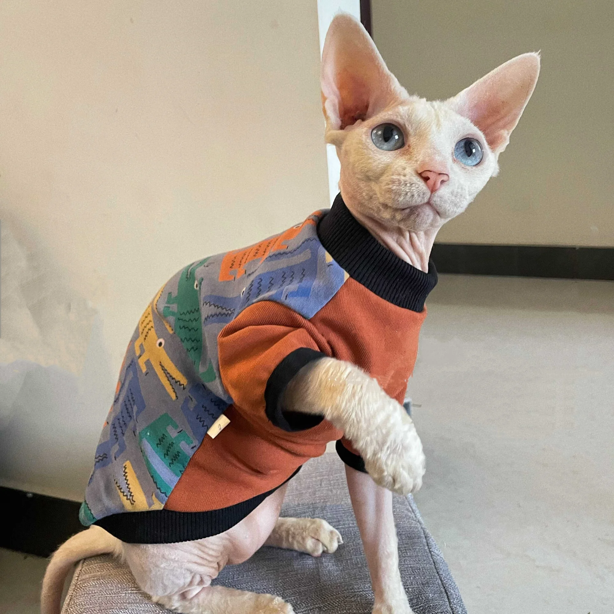 Sudadera suave para gato Sphynx y Devon Rex – Jersey de algodón roja y azul - imagen 3