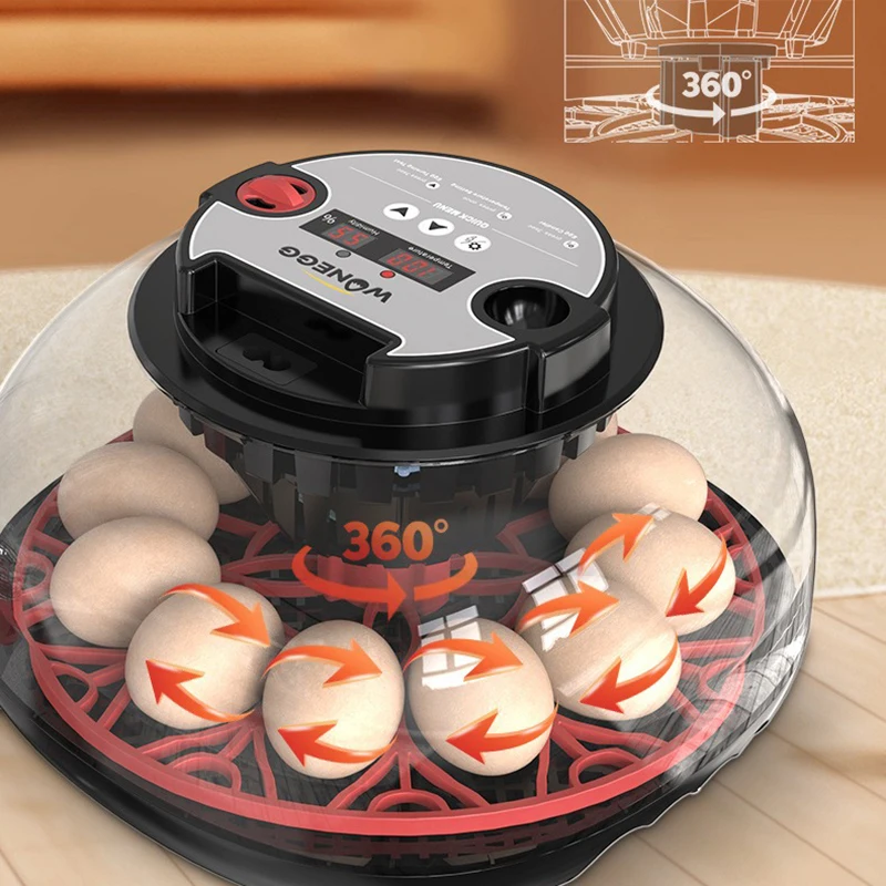 Incubadora automática para 12 huevos con LED y tapa transparente - imagen 4