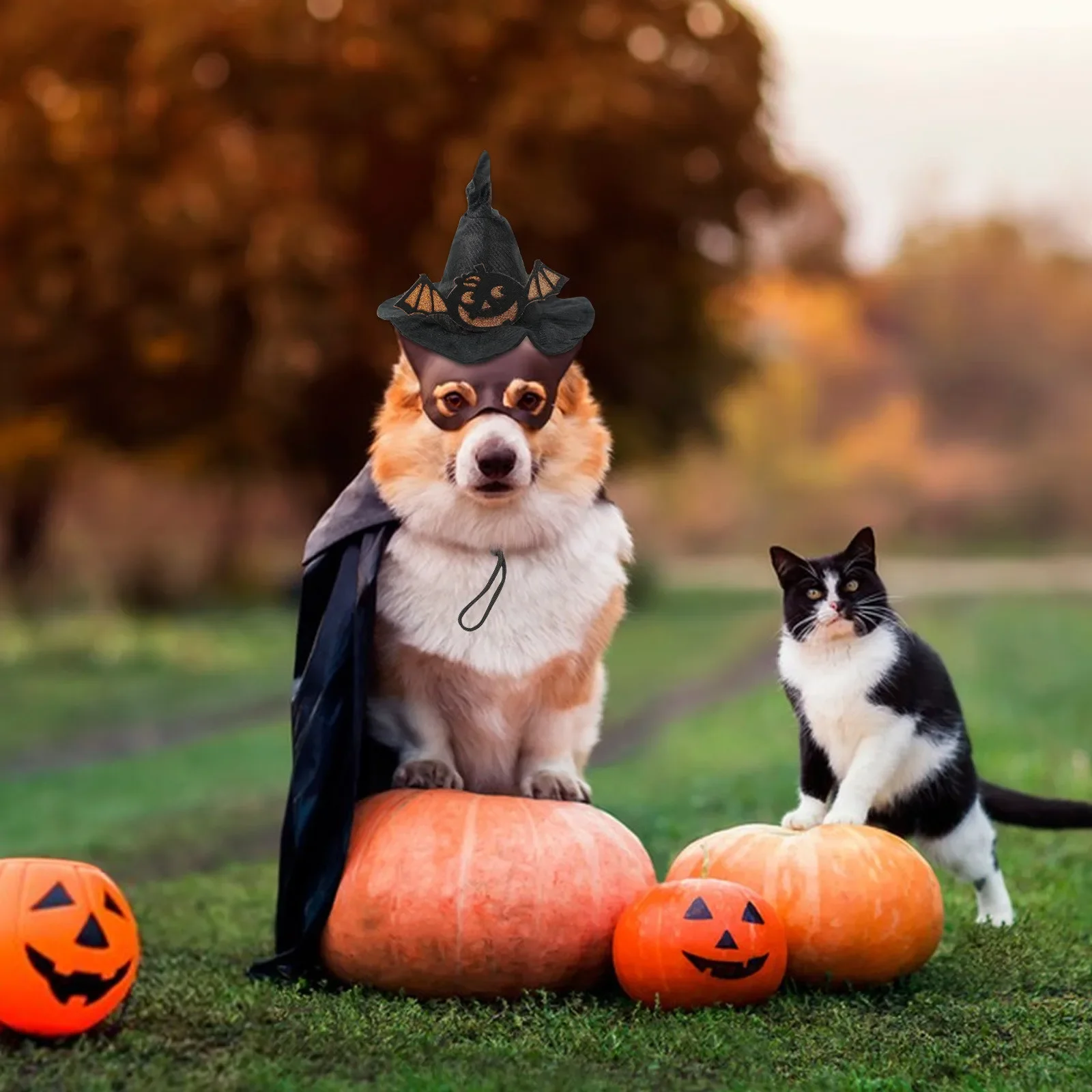 Sombrero de bruja para mascotas de Halloween con calabaza y murciélago, disfraz de cosplay de fieltro suave ajustable para mascotas, lindo diadema elástica para fiesta - imagen 5
