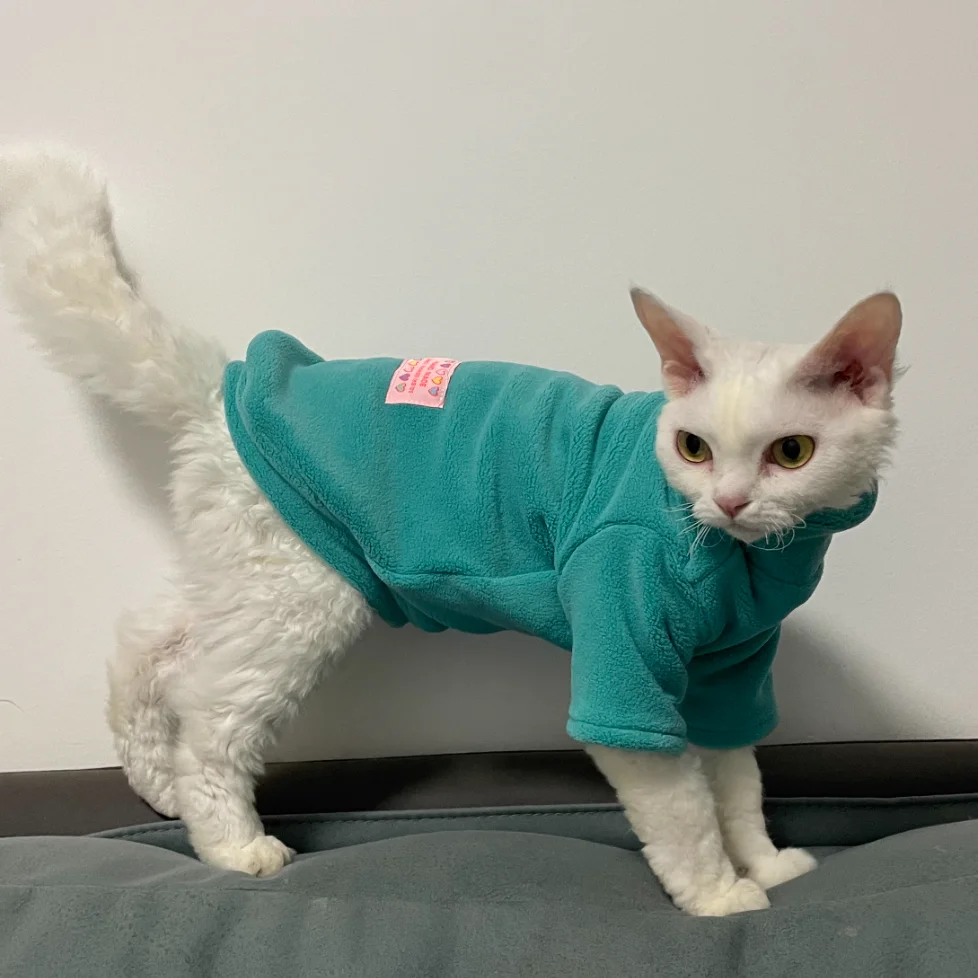 Abrigo polar para gato Sphynx en invierno, sudadera de dos patas para gatitos, pijama suave y dulce para gato sin pelo, suéter Devon Rex - imagen 2