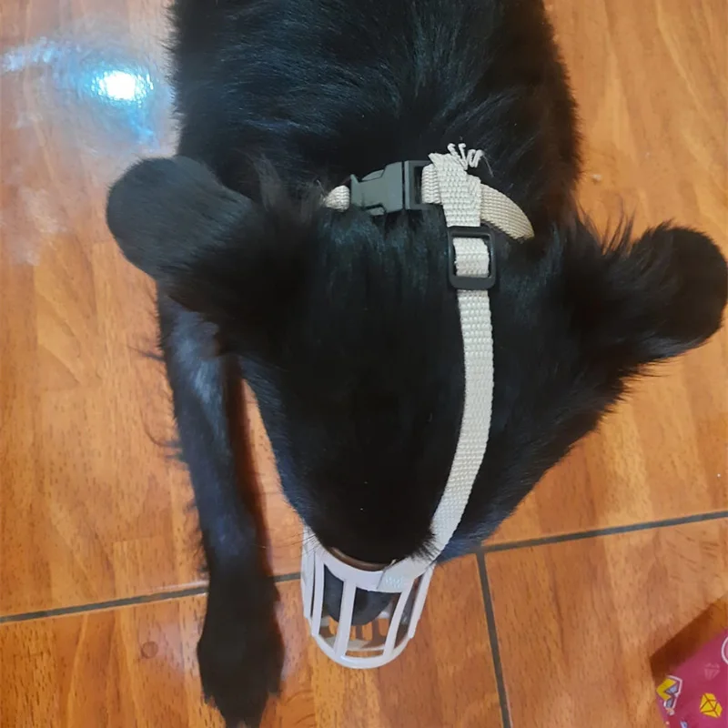 Bozal para perros anticomer al aire libre para perros medianos y grandes, máscara ajustable para mascotas, accesorios de Labrador resistentes dorados, suministros para mascotas - imagen 4
