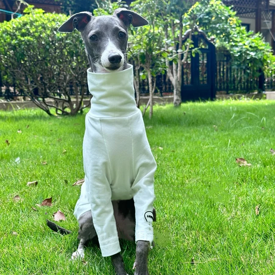 Mono blanco de algodón suave para perros medianos, camiseta interior de manga larga para Bedlington Little Greyhound, pijamas de cuello alto para caniche - imagen 2
