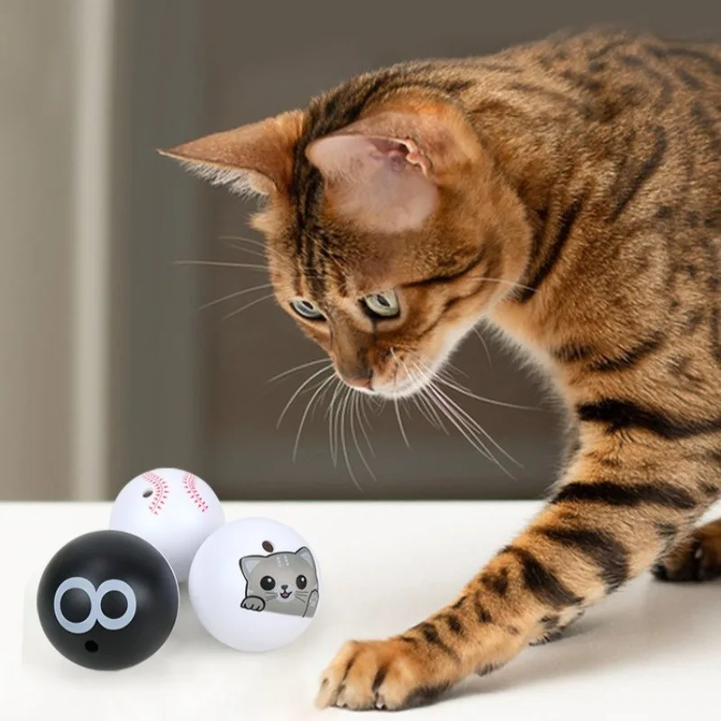 Juguetes de pelota chirriante para mascotas, suministros de juego interactivos para interiores para gatos, productos de entrenamiento para lanzar dientes resistentes al masticable para gatitos y cachorros - imagen 3