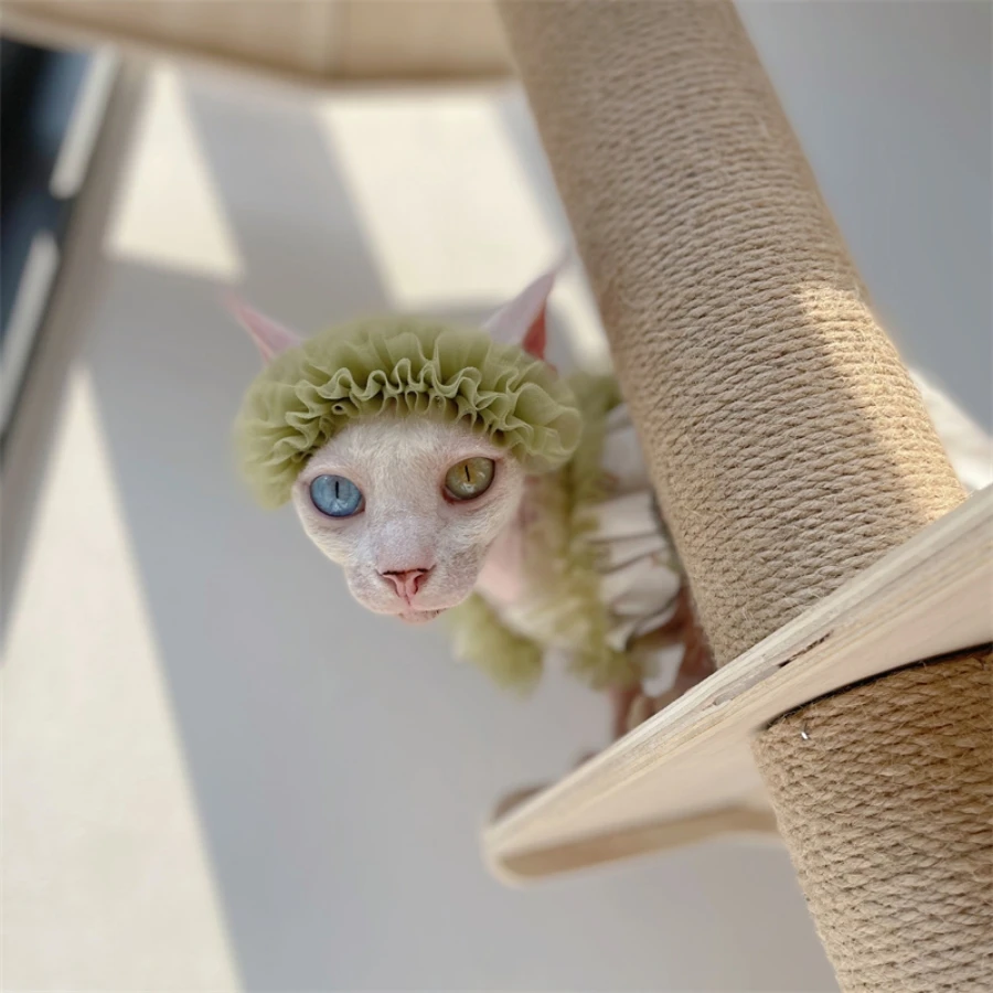 Vestido floral de encaje verde para Sphynx Cat Tirantes de verano para gata Falda transpirable para gatitos Camiseta dulce para Devon Rex - imagen 3