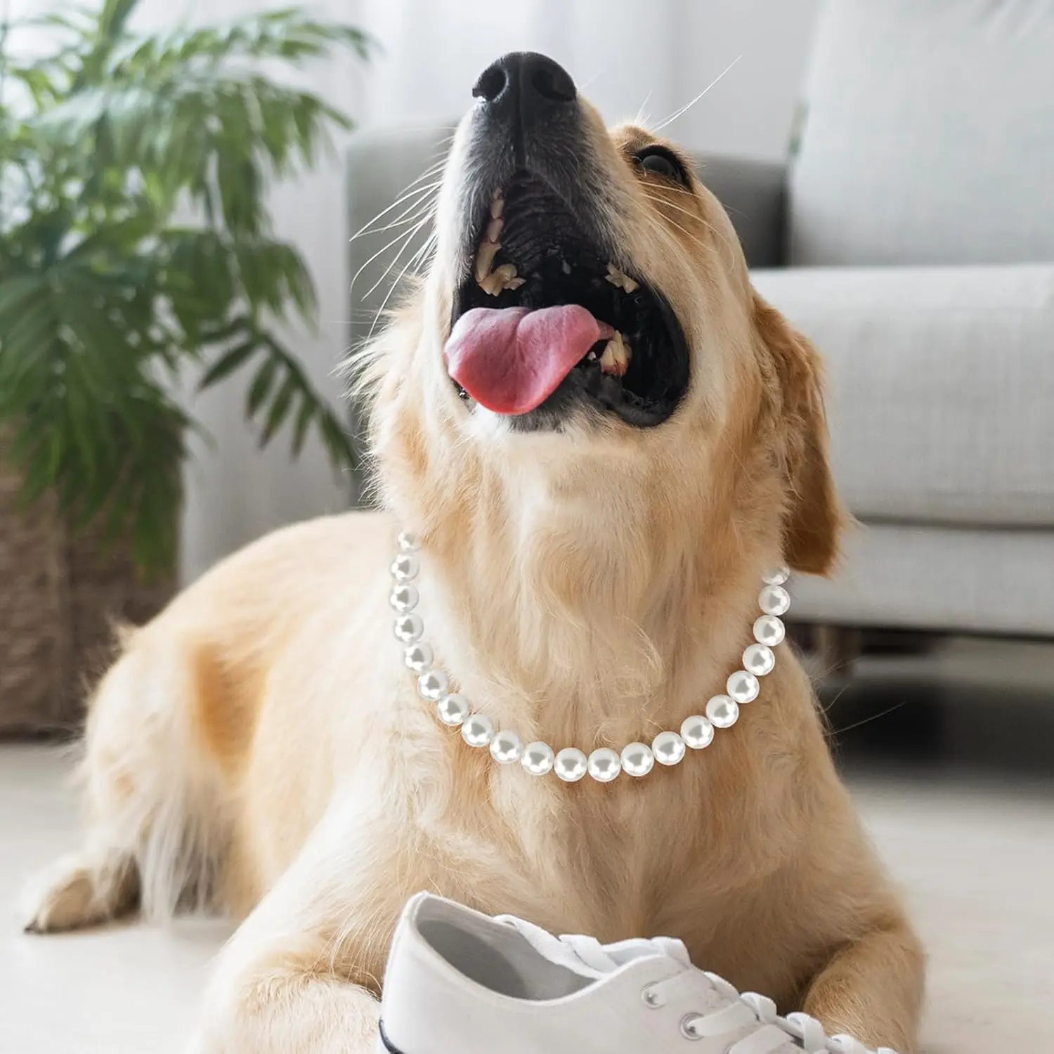 Collar de perlas para perros de 12-22 pulgadas, Collar de perlas ajustable y elegante para mascotas, accesorios para collares de joyería para perros pequeños, medianos y grandes - imagen 5