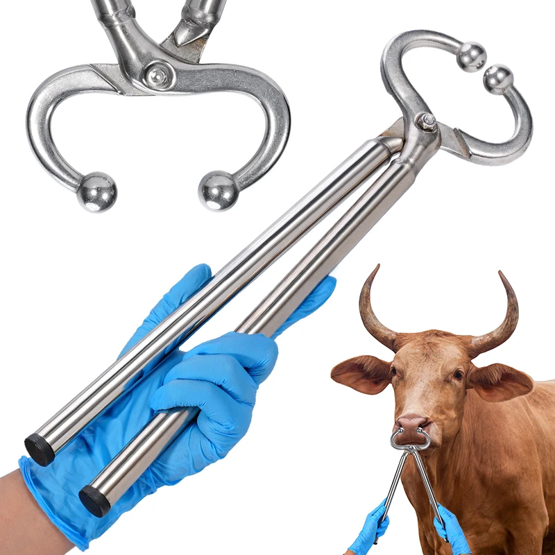 Alicates grandes de acero inoxidable para nariz de vaca, herramientas de perforación para Piercing de nariz de ganado y toro, alicates perforadores, herramienta para pasto