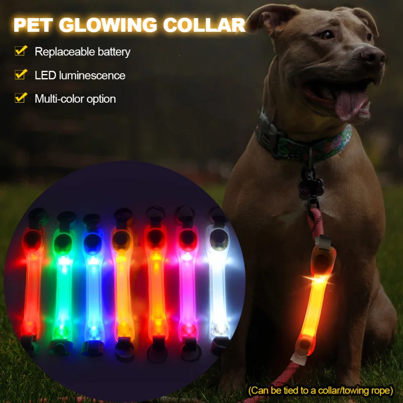 Collar brillante de seguridad antipérdida para perros, tira de luz LED intermitente de advertencia impermeable para exteriores, arnés de correa para mascotas, accesorios para perros - imagen 2