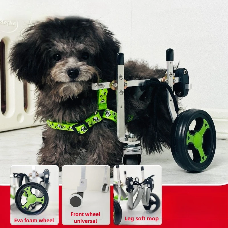 Silla de ruedas ajustable para perros y gatos paralizados - imagen 3