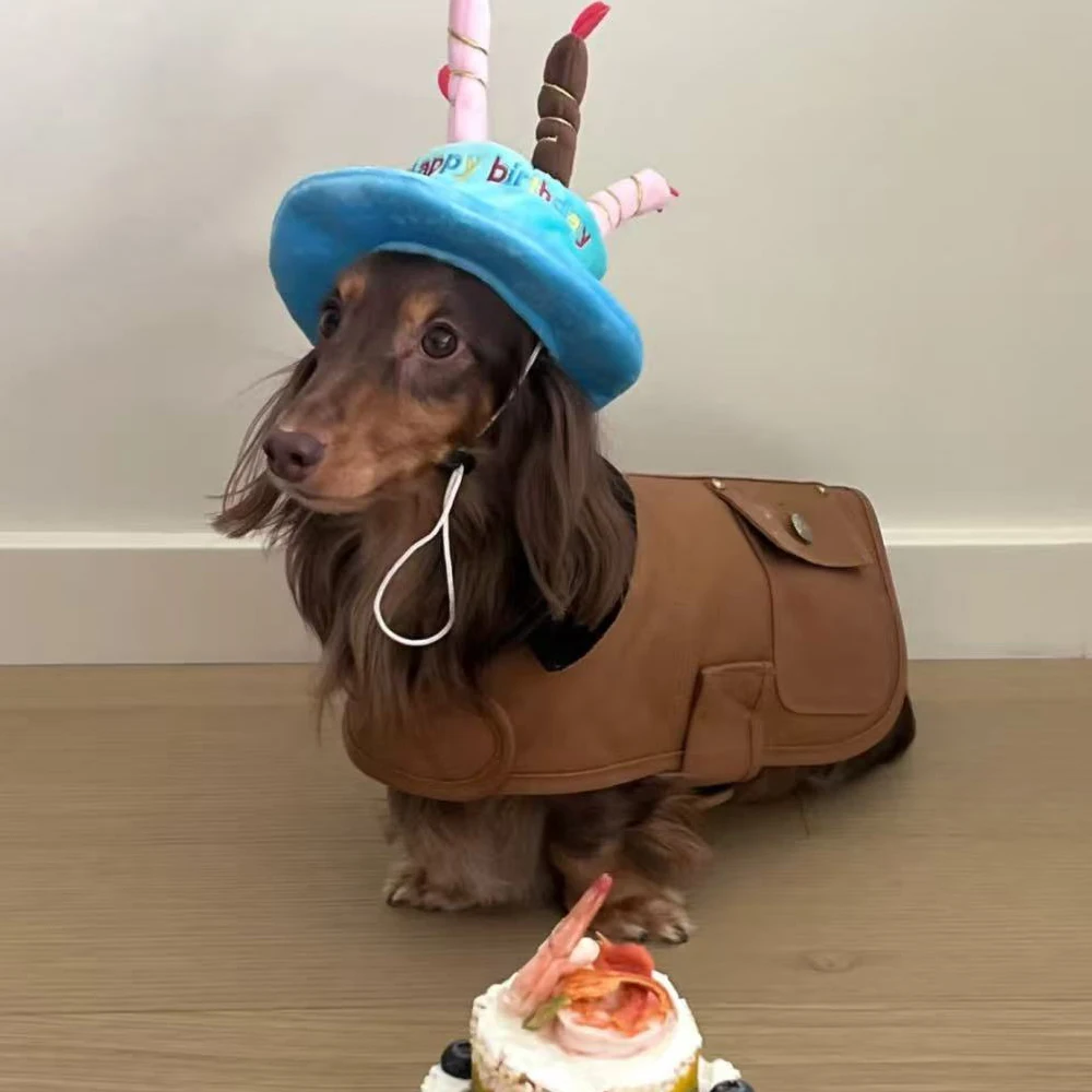 Chaleco desmontable rápido grueso marrón para perros Dachshund P-M-G - imagen 5