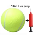 1 Ball and air pump