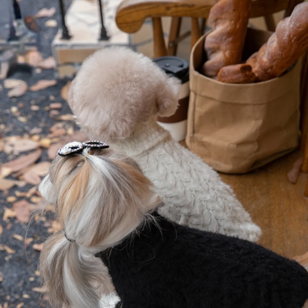Suéter de felpa con manga de burbuja para mascotas, ropa interior de encaje, abrigo de oso de peluche para perros, gatos, Otoño e Invierno - imagen 5