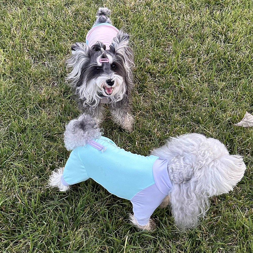 Chaleco veraniego para perros con protección solar y antiinsectos - imagen 5