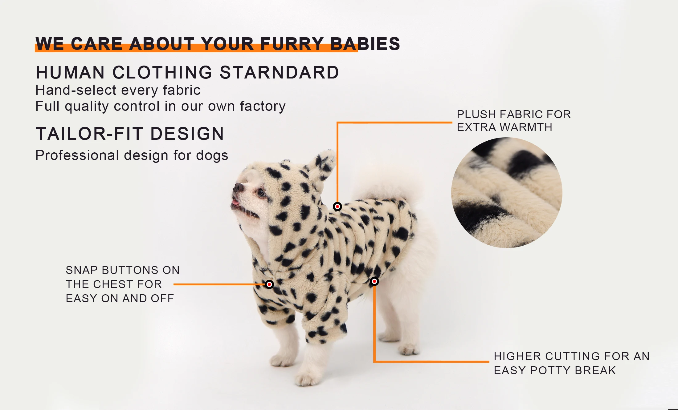 Detalle de diseño para gatos