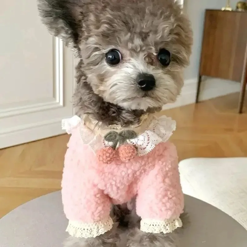Suéter de cereza para mascotas, suéter de peluche de crema de pétalo, oso Yorkshire, abrigo cálido de invierno para cachorros, ropa para perros pequeños, chaquetas para gatos - imagen 3