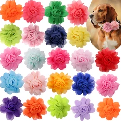 Collar floral decorativo para perro – Complemento primaveral