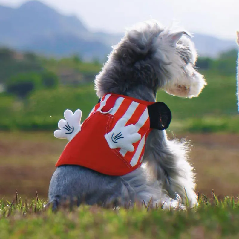 Chaleco con arnés para mascotas de lujo con alas, chaleco de malla transpirable, chaleco ajustable para perros pequeños y gatos, arnés, correa, suministros para mascotas Pug - imagen 2