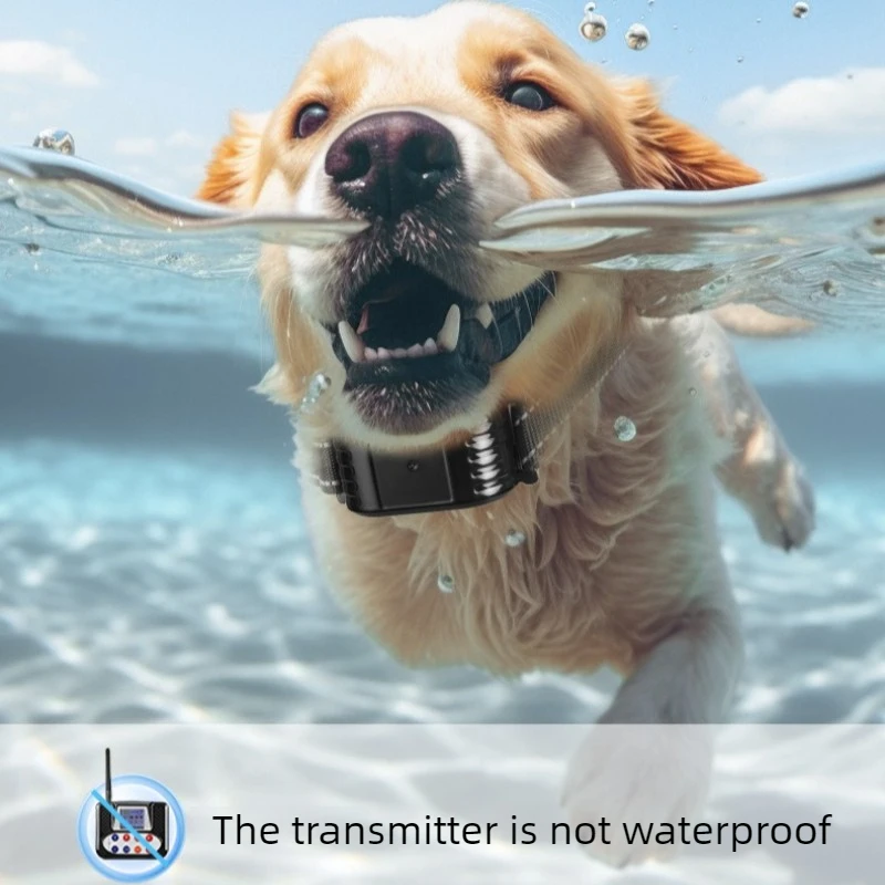Collar antilímites para perros – Sistema de contención inalámbrico - imagen 5