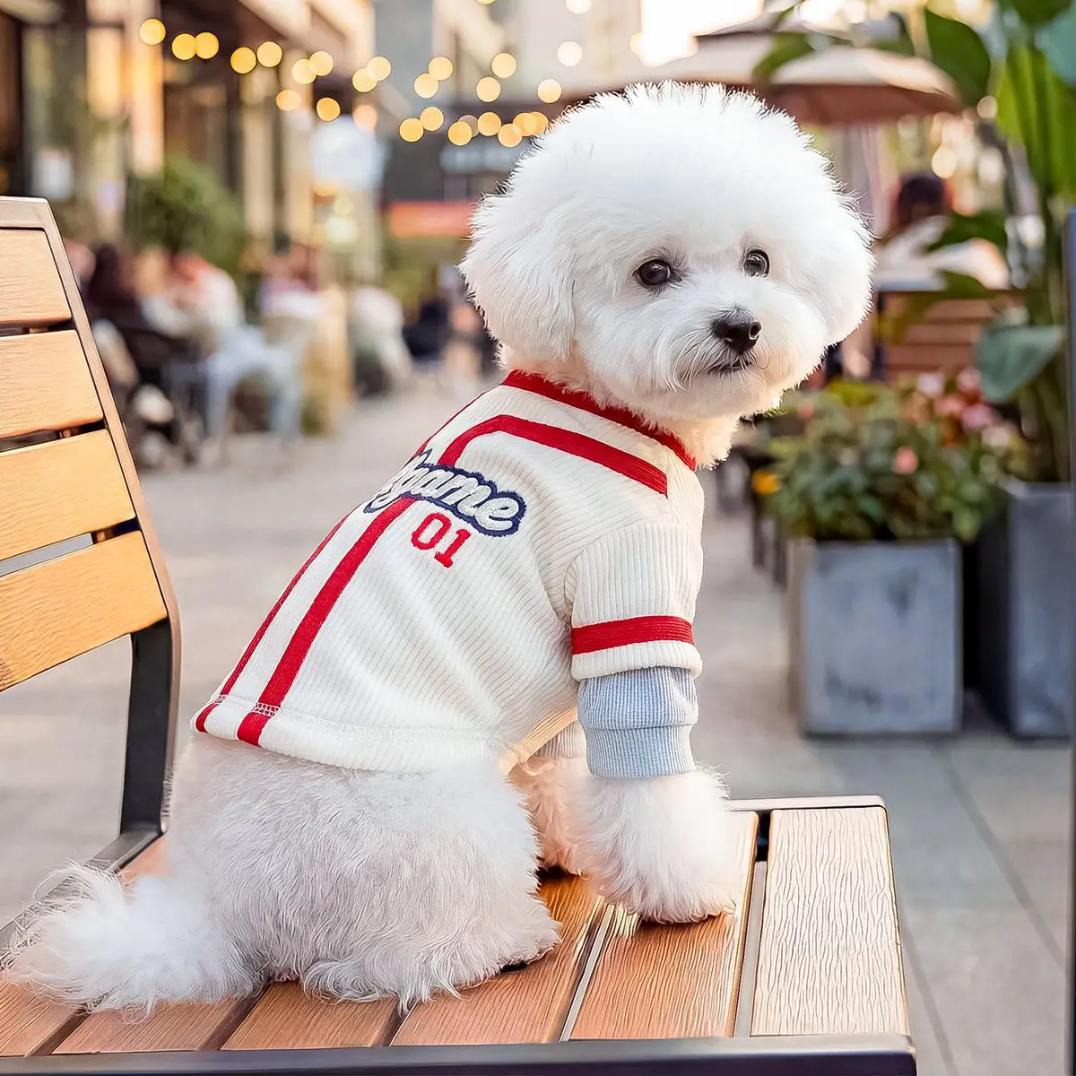 Sudadera con capucha bordada para perros pequeños y cachorros - imagen 5
