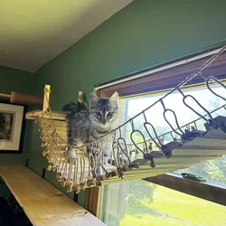 Puente redondo para gatos en pared – estante y cama de madera