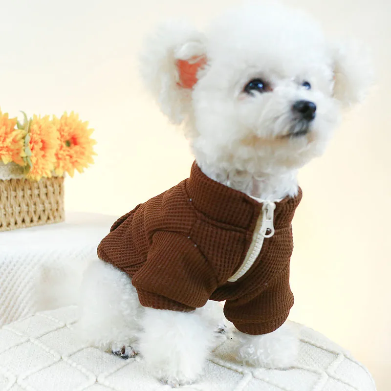 Abrigo con cremallera, ropa cálida de invierno para perros, disfraz para perros pequeños y medianos, perro salchicha, Chihuahua, Yorks, ropa para mascotas, chaqueta para cachorros, trajes XS - imagen 2