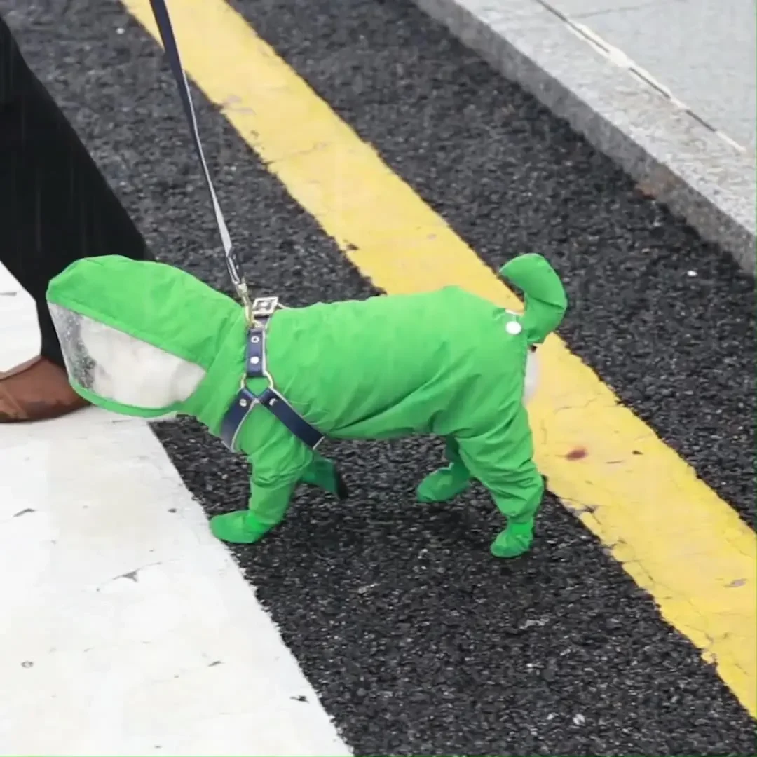 Chubasquero para perros, chaqueta impermeable para mascotas, para perros pequeños, medianos y grandes, cobertura de cuerpo completo con sombrero - imagen 5