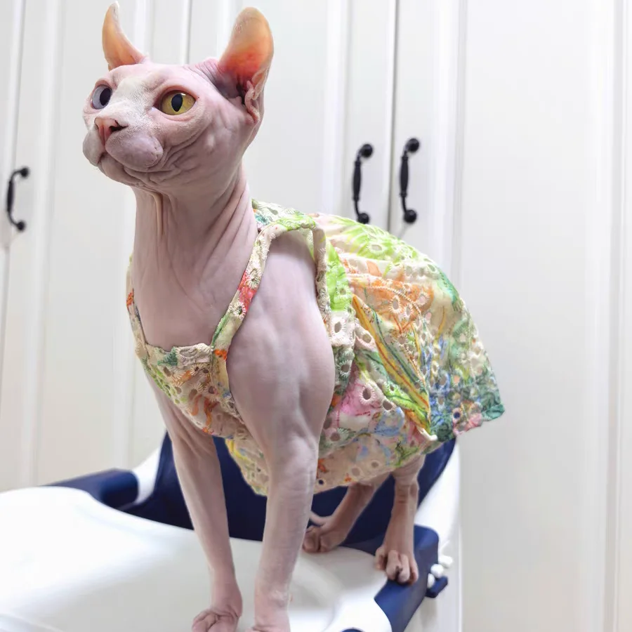 Vestido floral rústico Traje de sombrero de encaje para gato Sphynx Falda de burbuja fresca transpirable con agujeros en verano Gato femenino Chaleco rosa verde dulce para Devon Rex - imagen 5