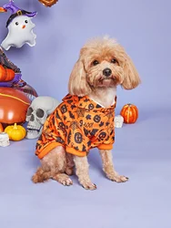Disfraz Halloween para perro – Sudadera araña y calabaza