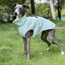 Chaleco solar UPF100 para galgo italiano y Bedlington – Transpirable verano