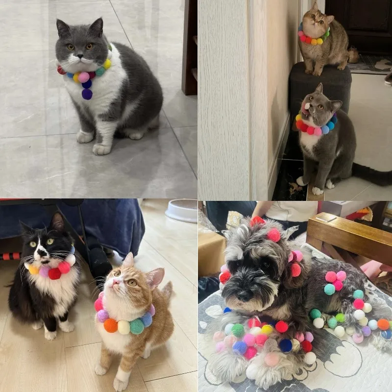 Bolas de felpa coloridas para gatos, juguetes para gatos, resistentes a mordeduras molares, hinchables, interactivas, divertidas, juguetes para masticar, juguetes de entrenamiento, productos para mascotas - imagen 5
