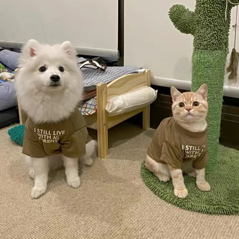 Yeni Kedi Köpek Yelek Yuvarlak Boyun T-shirt Küçük Köpekler Kediler için Mektup Baskı Pet Taban Katman Gömlek Kazak Yavru Giyim Kıyafet