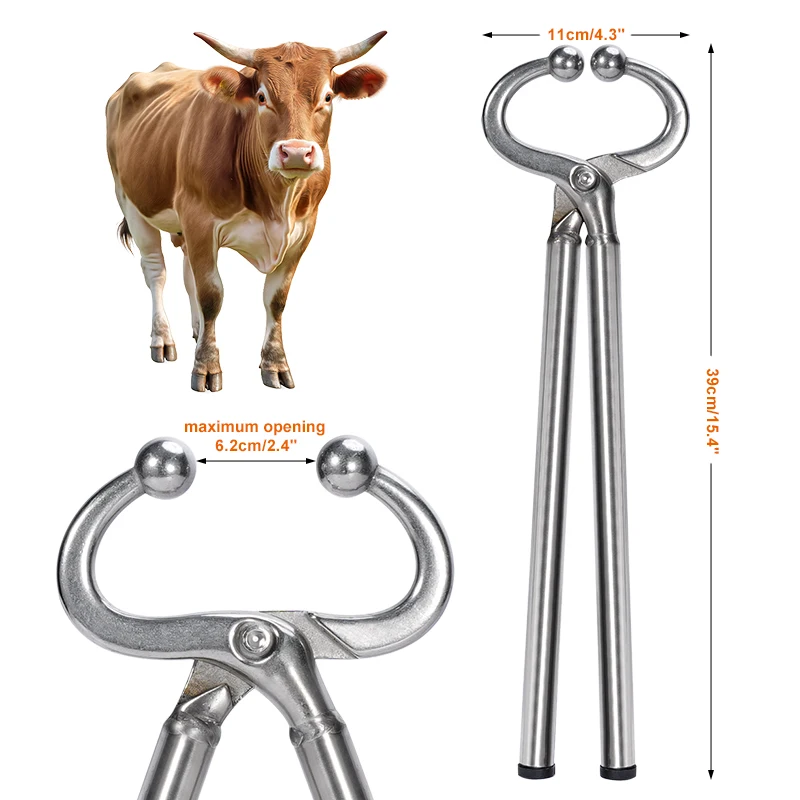 Alicates de acero inoxidable para nariz de ganado y toro, Clip para nariz de vaca, herramientas de perforación, pinzas para nariz de ganado, herramientas agrícolas - imagen 2