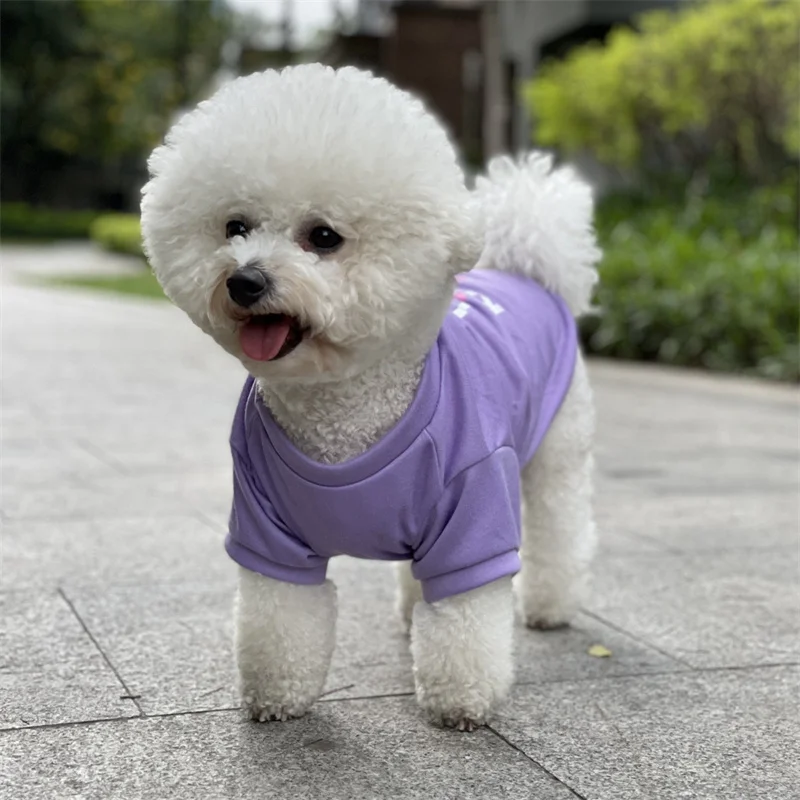 Camiseta con estampado dulce para cachorros y perros, chaleco de algodón para primavera y otoño, ropa para mascotas para perros pequeños, caniche, Yorkshire, camisetas de peluche, trajes para mascotas - imagen 4