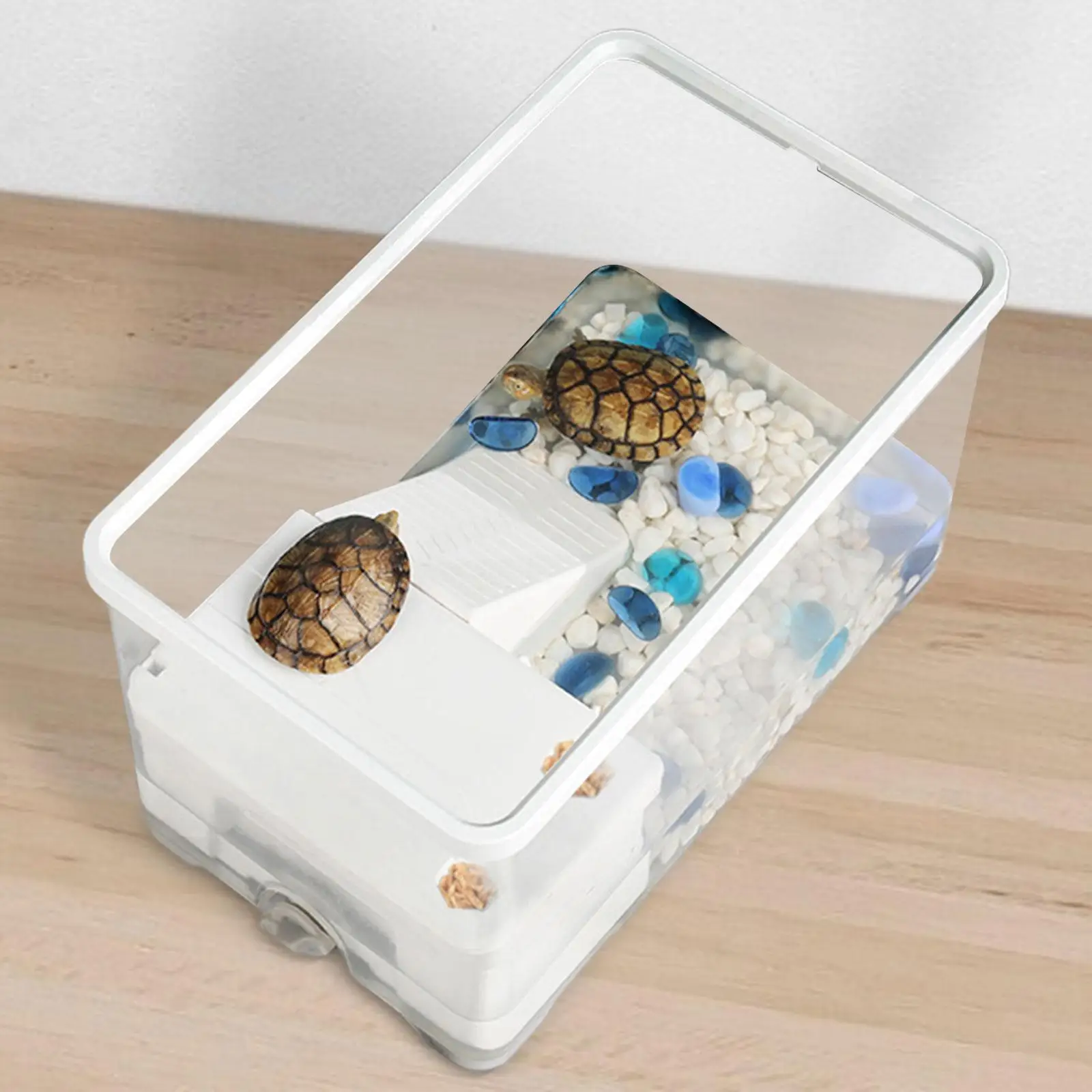 Turtle Tank Aquarium Box with Platform Basking Ramp Bottom Drainage Full View Visually Hatching Area Climbing Turtle Terrarium