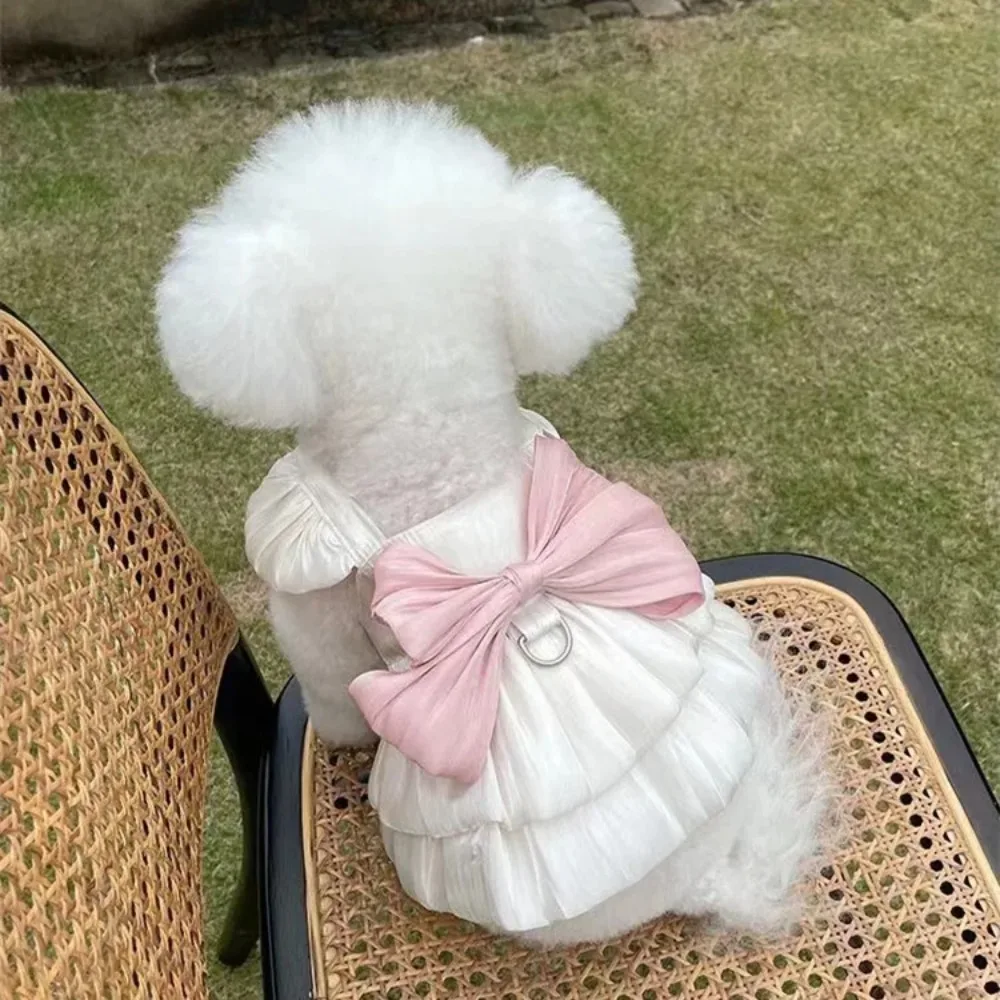 Falda de gasa transpirable ligera que fluye, oso de peluche, perro, gato, salir a remolque, protección solar delgada, ropa para mascotas, primavera, verano, nuevo - imagen 5