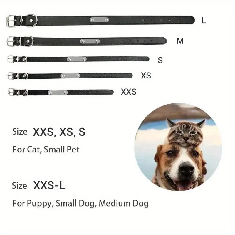 Collar identificación personalizado antipérdida para perros y gatos - imagen 5