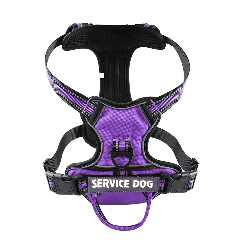 Purple Harness