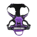 Purple Harness