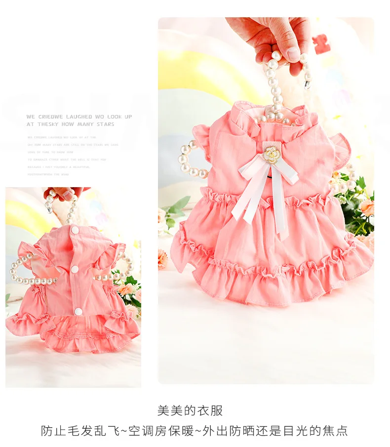 Vestido en perro pequeño