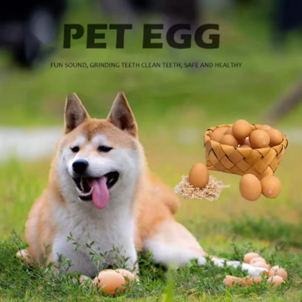 5 uds. De juguetes para perros pequeños y chillones de dibujos animados para perros pequeños, tenis para mascotas para perros, chirriadores pequeños, huevos - imagen 4