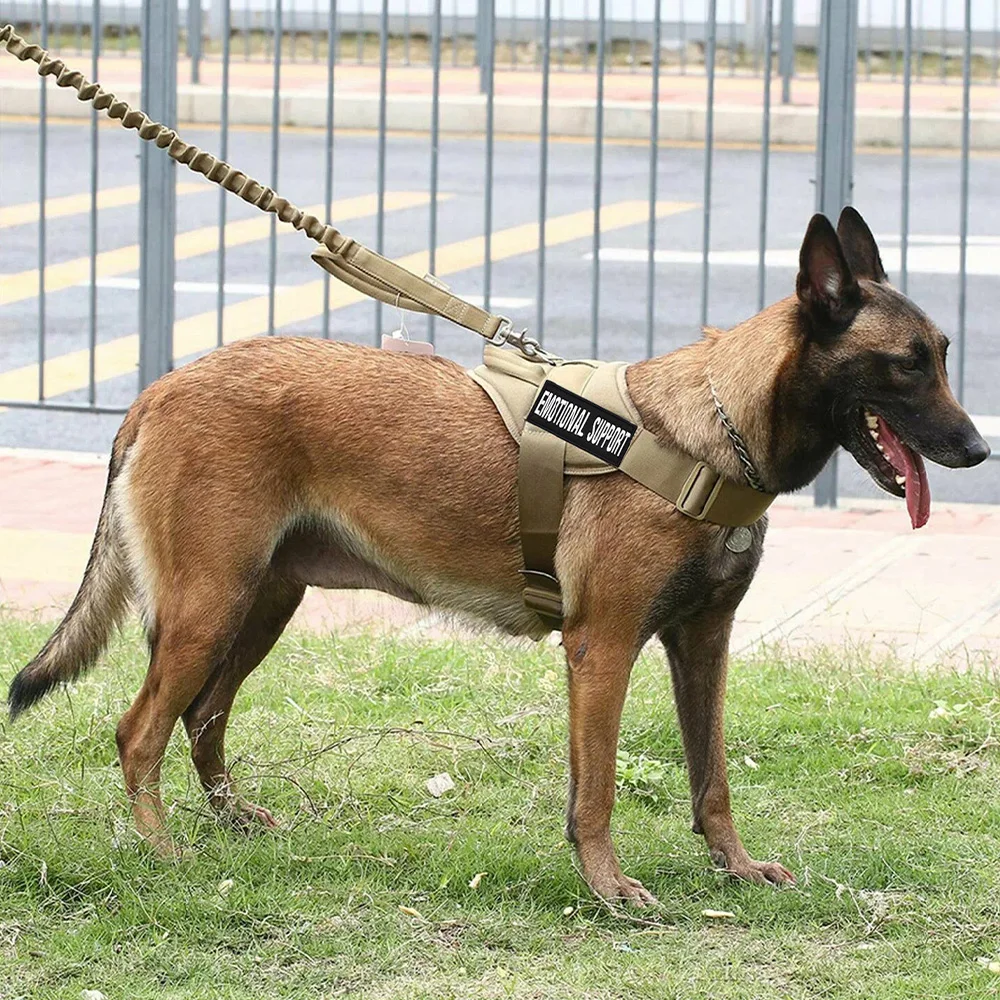 Arnés táctico para perros con correas de velcro, chaleco militar ajustable para pastor alemán Malinois, para caminar, cazar y entrenar - imagen 5