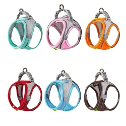 Arnés con correa para perros mini y gatos – Ideal para Chihuahua y Bulldog Francés