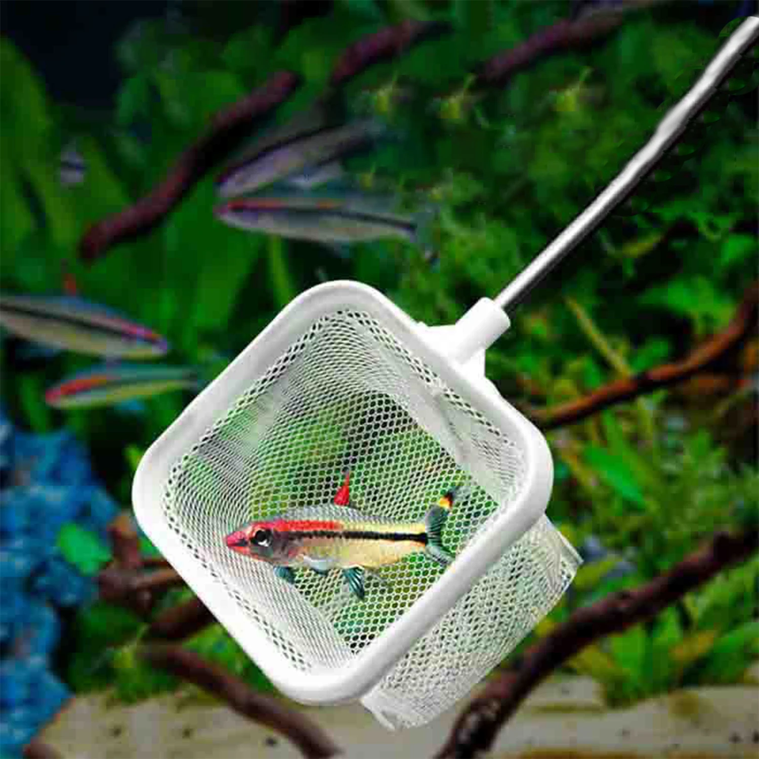 Red de pesca cuadrada para acuario con ventosa, equipo de pesca extensible con mango largo para atrapar peces, camarones, suministros limpios - imagen 4