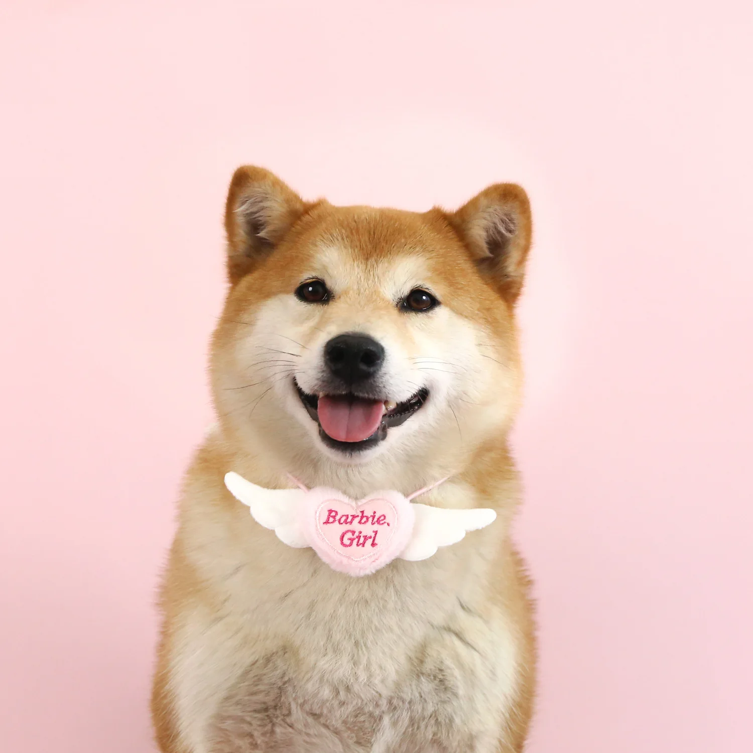 Collar de alas de amor a cuadros para mascotas, alas de peluche para gato, bufanda de princesa, Collar bonito rosa y azul, Collar decorativo para perro, accesorios para perros - imagen 4